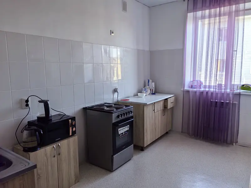 Кухня VIP-квартиры: электроплита, микроволновая печь, шкафы, окно