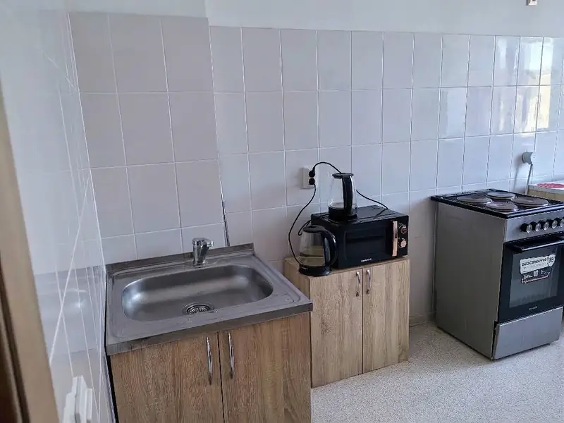 Мойка, микроволновая печь и электроплита на кухне VIP-квартиры